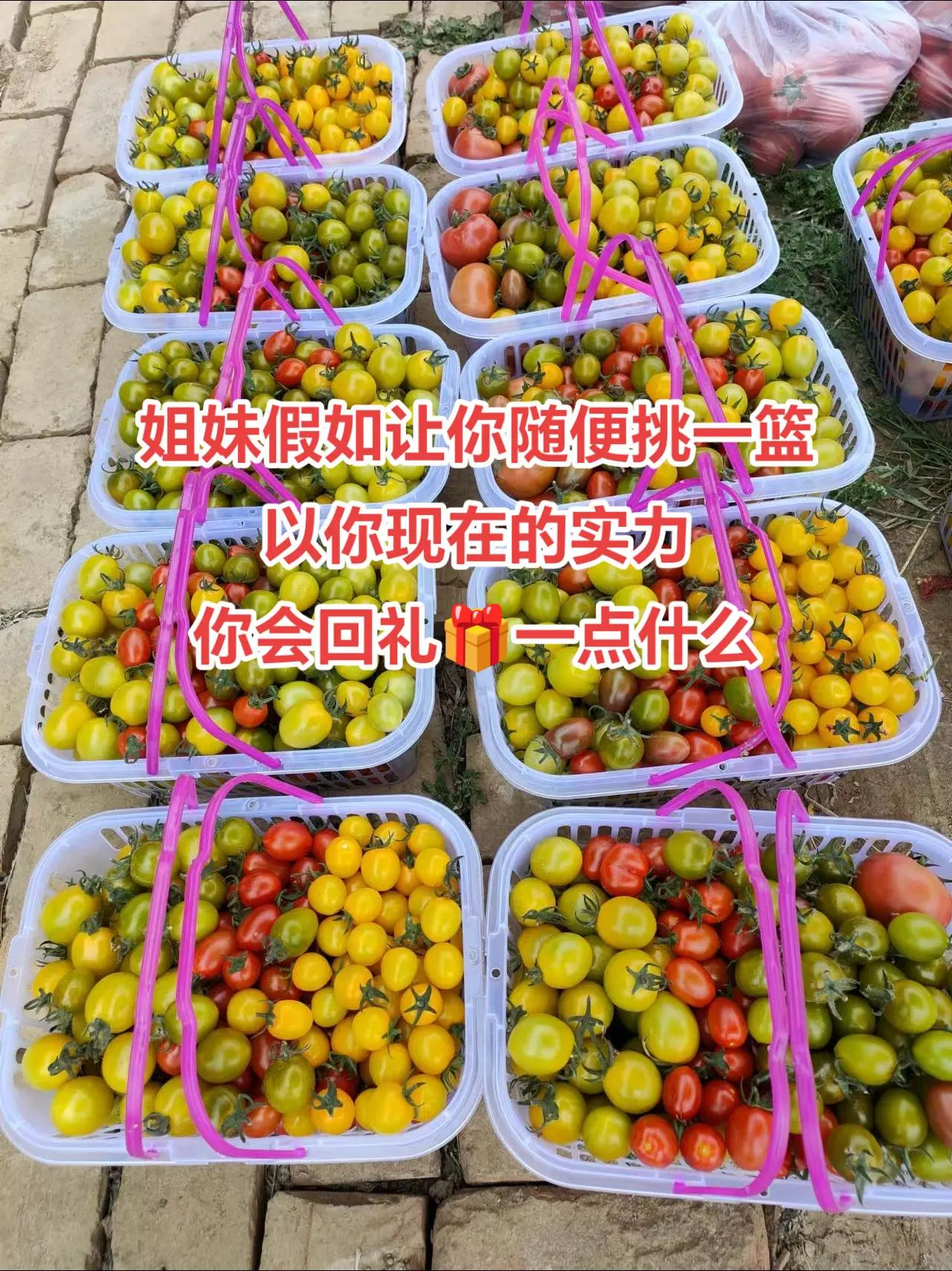 新鲜采摘 丰收的季节硕果累累 中秋水果礼品