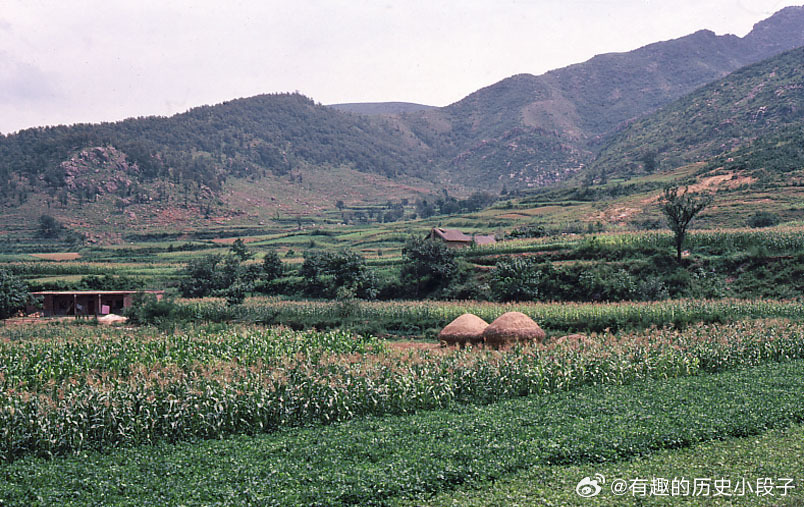 八十年代老照片老照片