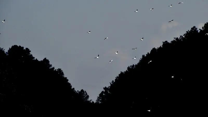 上联：水上千舟渡
下联：山间百鸟飞
简评
- 对仗工整：“水上”与“山间”，皆为