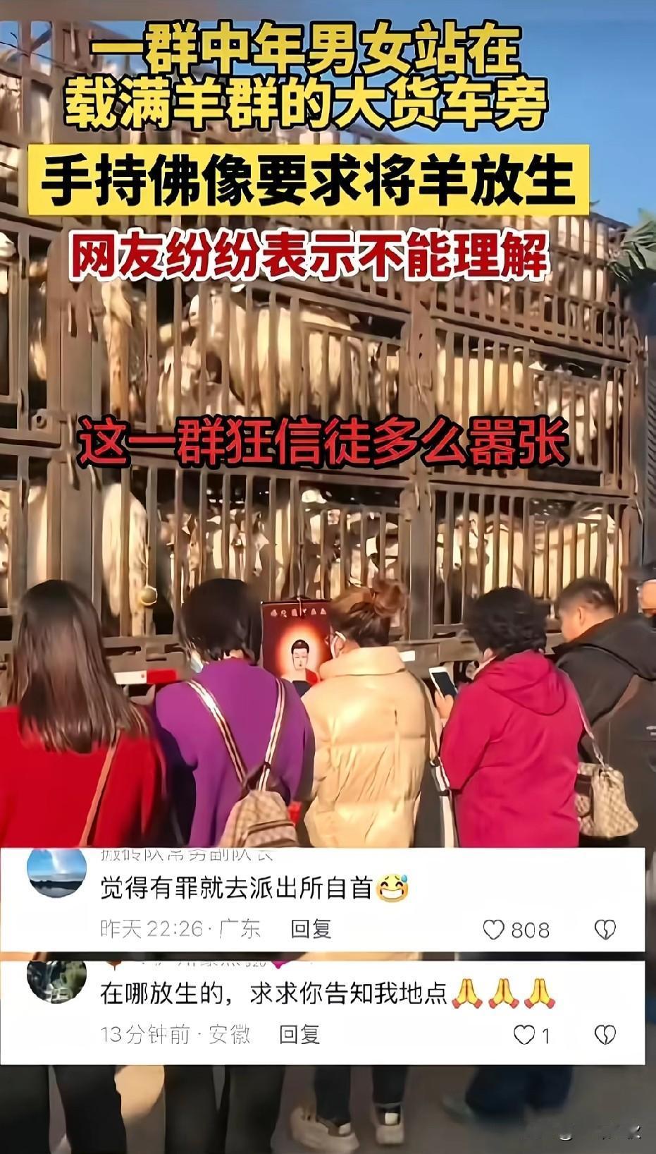 他们是一群虔诚的信徒，屠宰场是他们终身的禁地[黑线][黑线]。