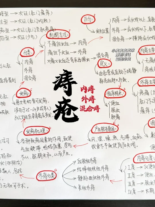 花了一晚上终于把“女性痔疮”梳理明白了！
