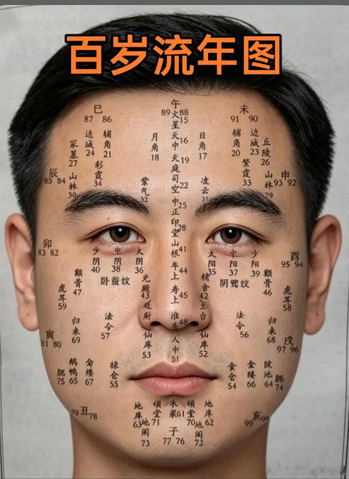 分享图片 
