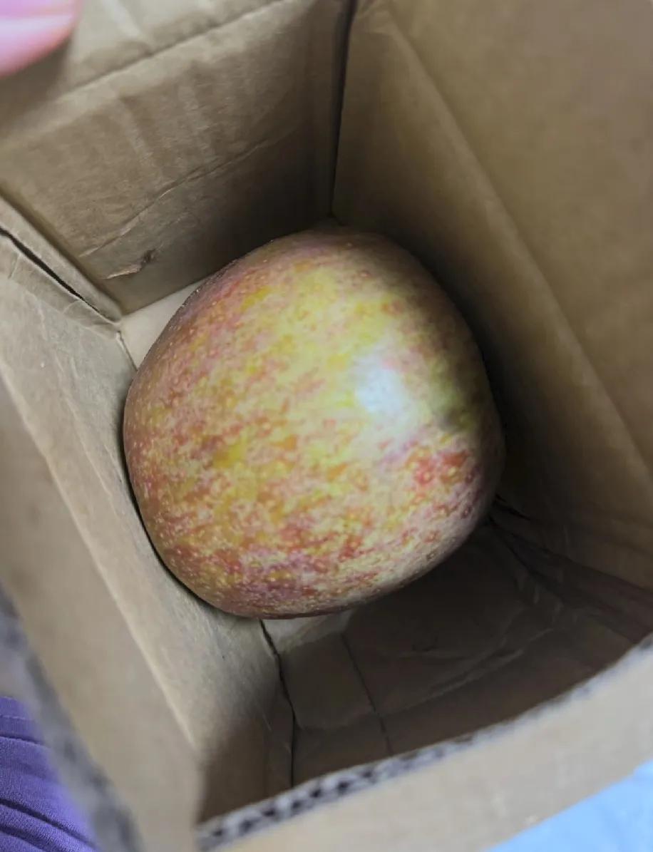 在抖店直播间冲了个“大凉山苹果”，满心期待拆箱，结果箱子里孤零零躺了一个苹果！