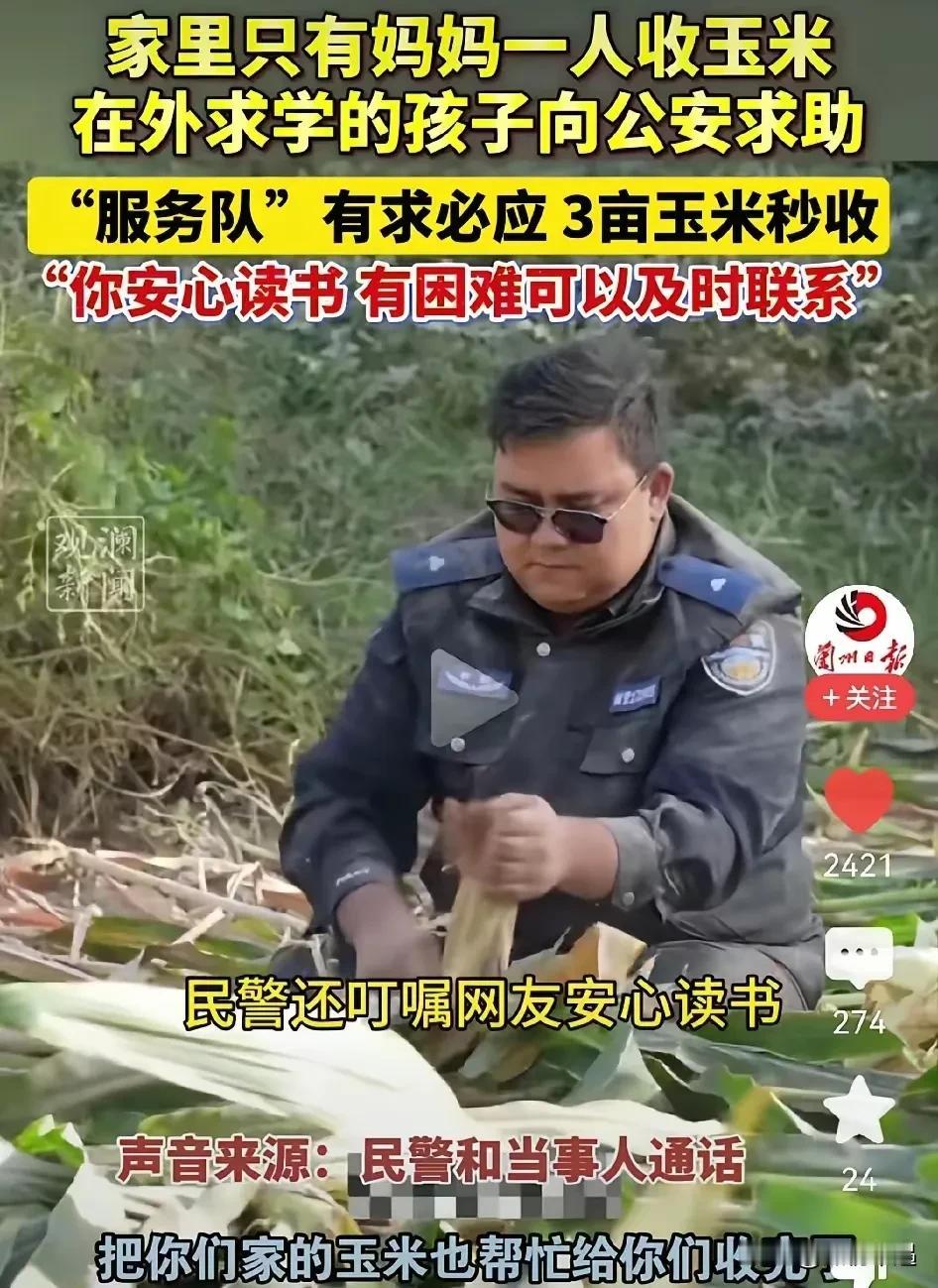 新疆有个大学生在外地上学，心里一直揪着家里那三亩玉米地。家里就老妈一个人，每到收