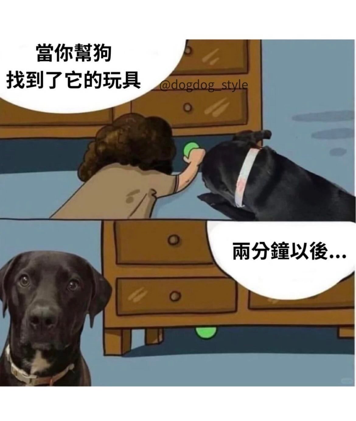 根本就是故意的meme