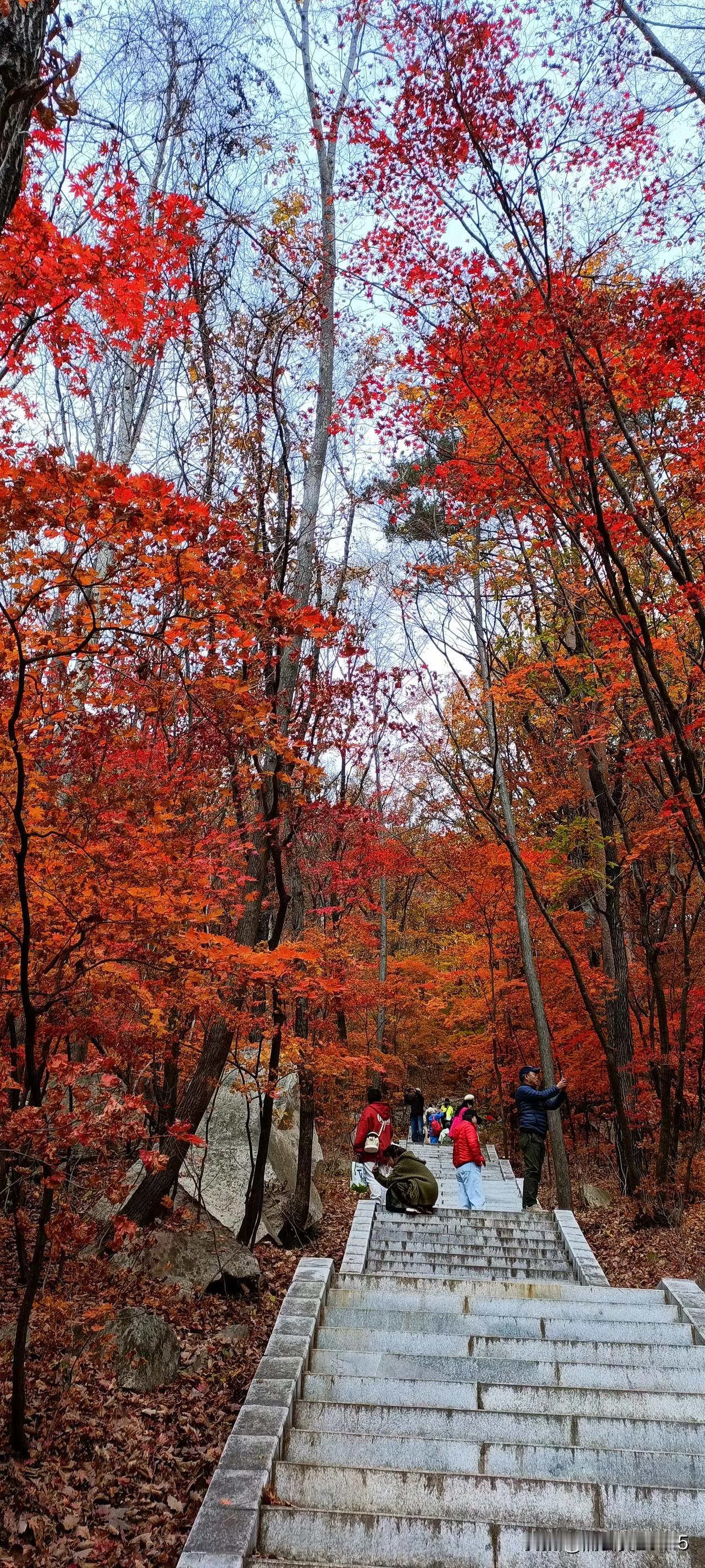 #记录秋日精彩瞬间#
每到这个季节
我们都会相约本溪桓仁
看漫山红叶秋林秀逸
聆