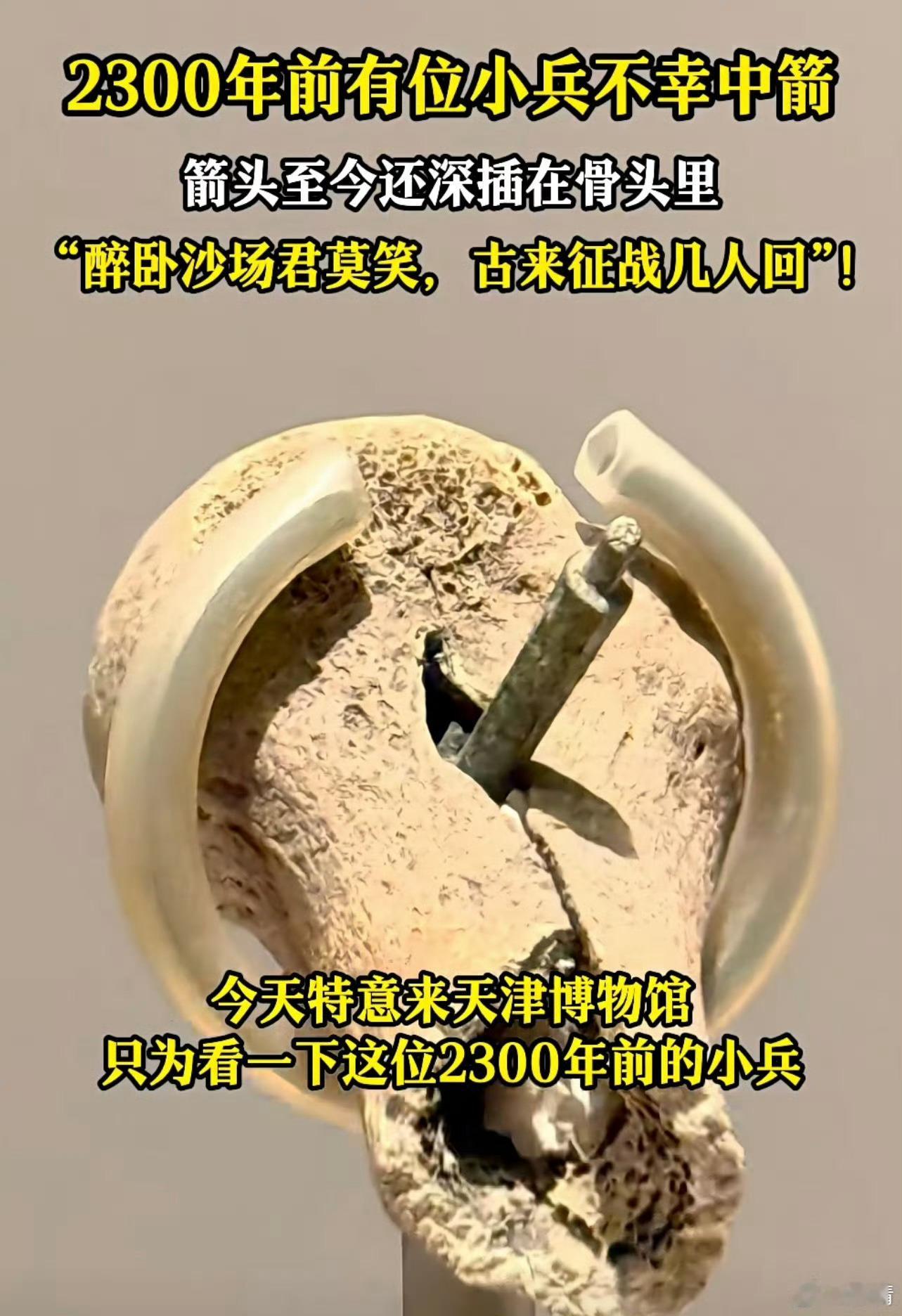 普通人的一生，盛世之牛马，乱世之炮灰，安平榨其力，战时用其死。 