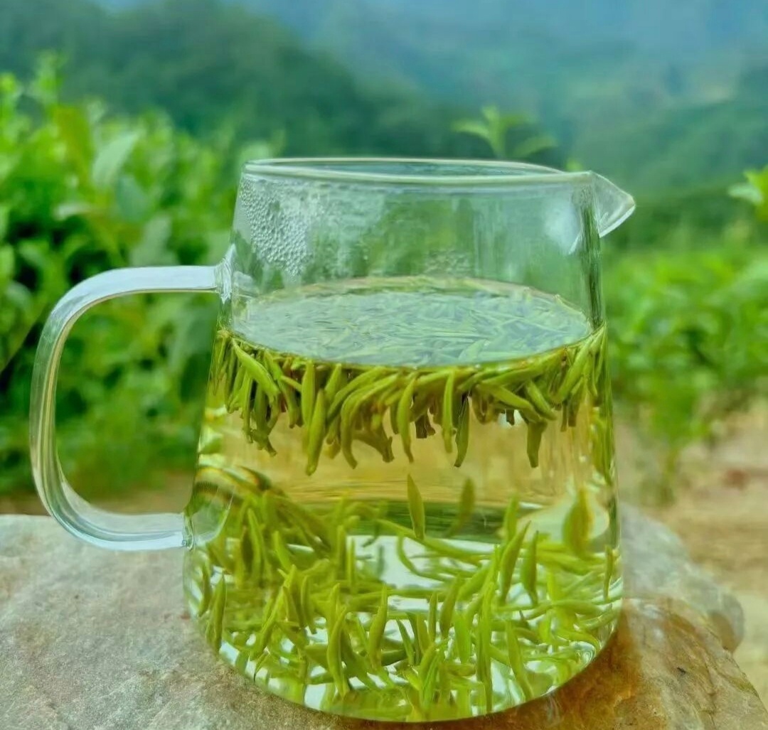 关于一杯茶一杯茶，佛家看到的是禅。一杯茶，道家看到的是忌。一杯茶，儒家看到的是礼