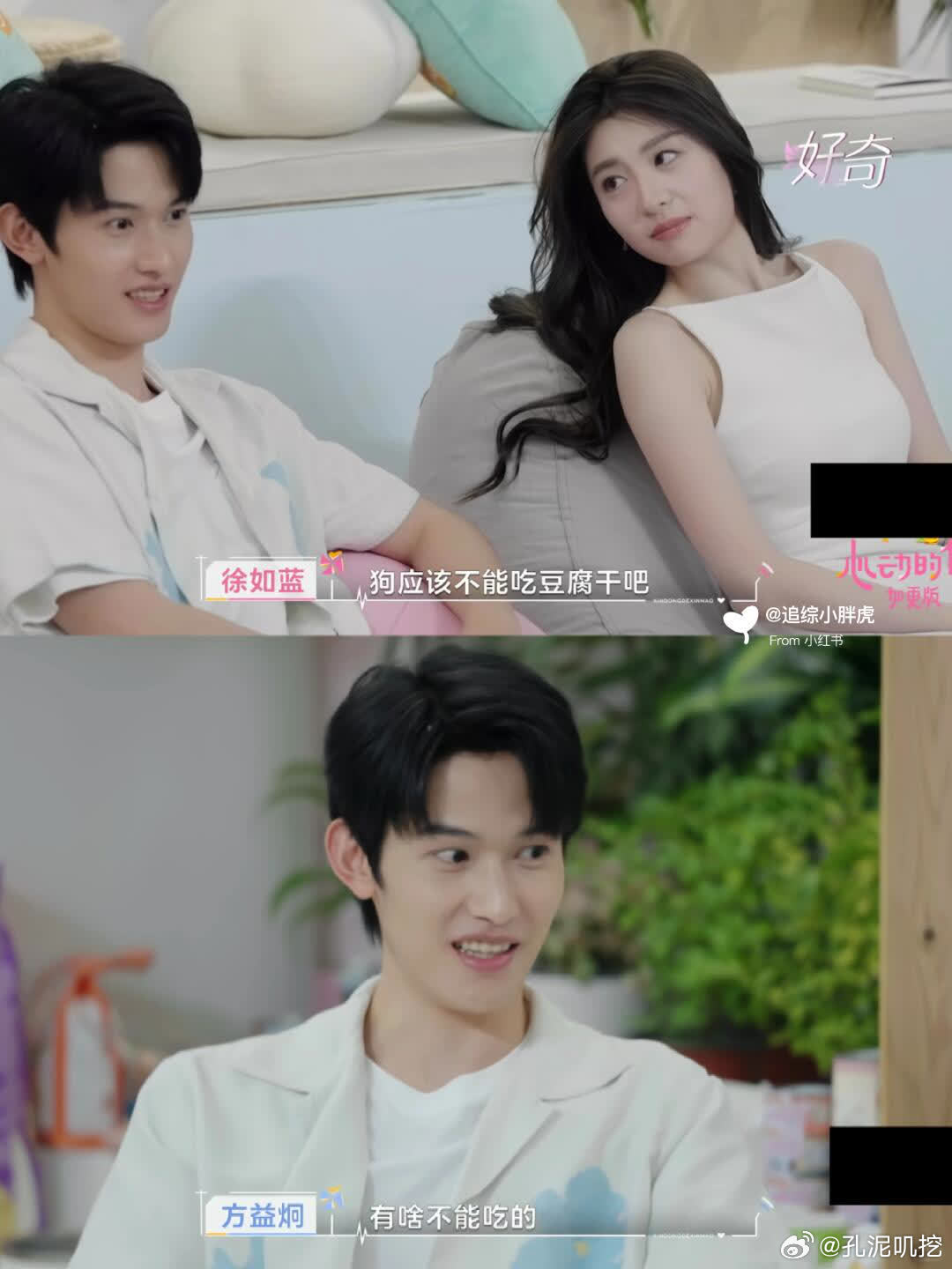 方益炯对徐如蓝说这五个字真的好吗？  方益炯：狗不能吃洋葱。 徐如蓝：洋葱我也不