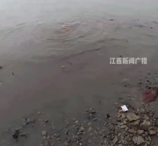 吓坏了，江西，一小伙和朋友去水边钓鱼，期间就有一条大鱼上钩了，小伙和朋友都很激动