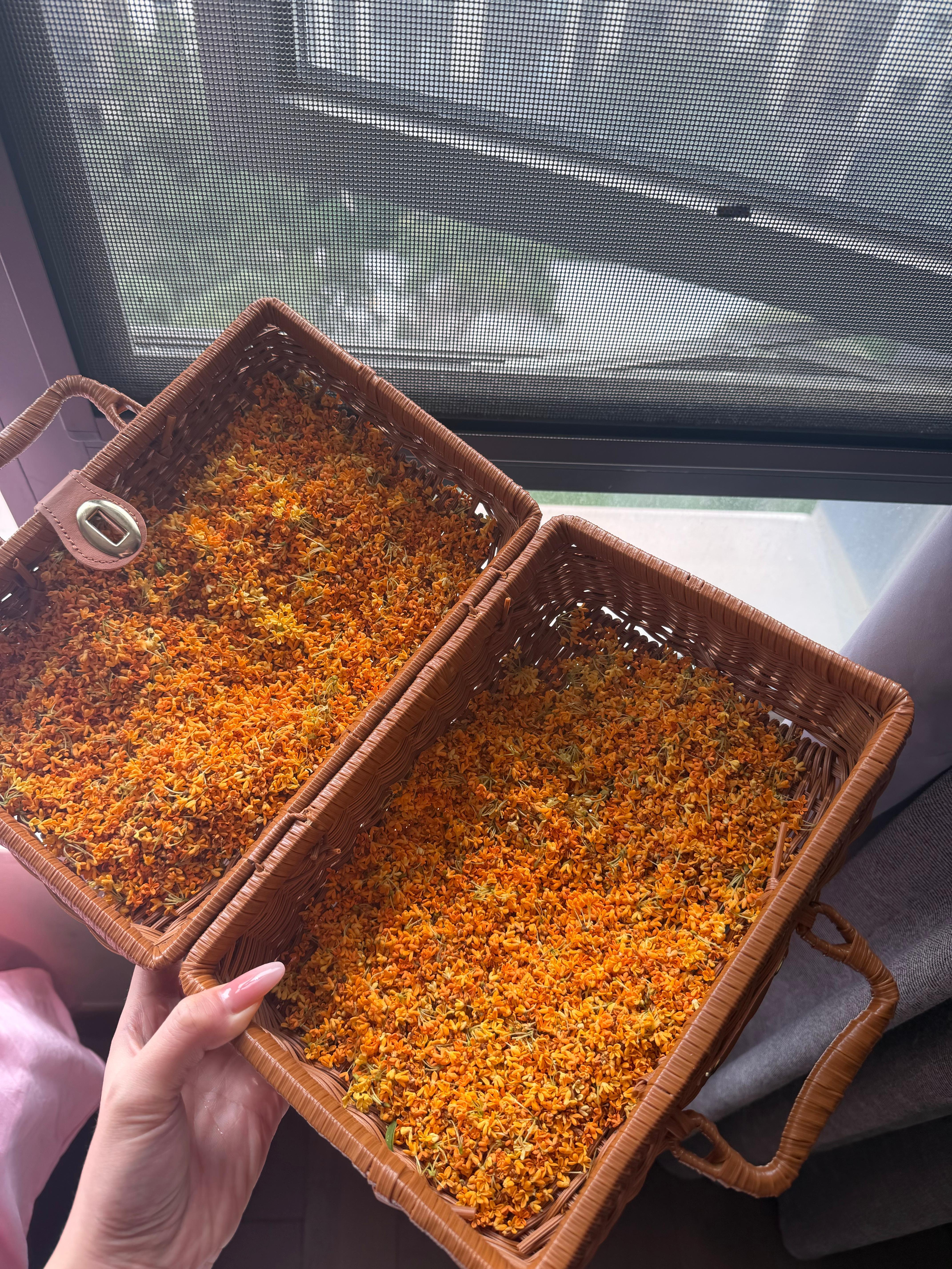 桂花是秋天的第一场雨 ​​​