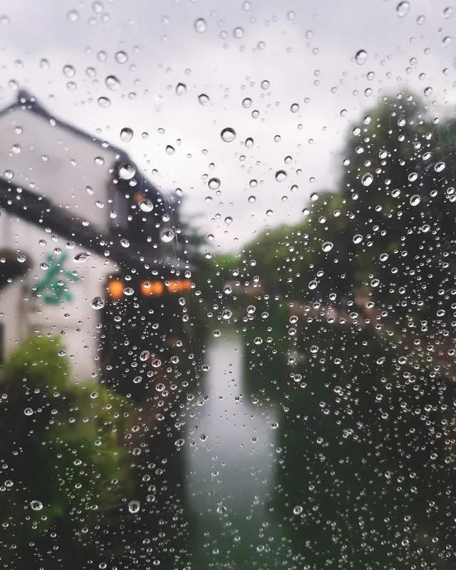 梦中回故里，恰逢江南雨。