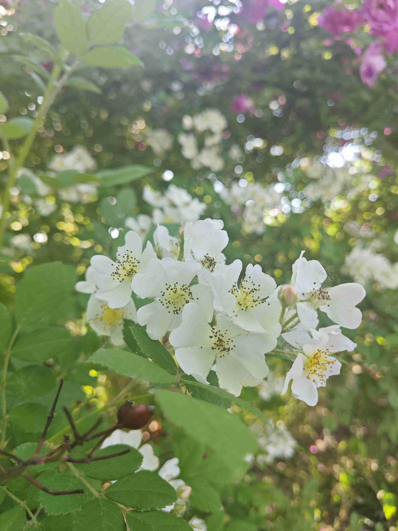 我的今日状态：😁轻松愉快
我这里的天气：☀️晴天
今天晴，12-25℃，这个天