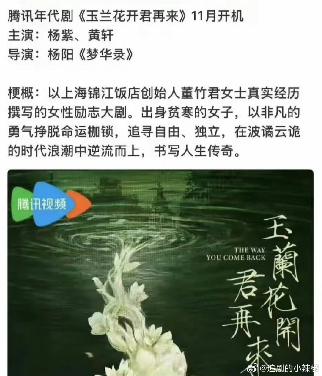 杨紫这几个🍪都蛮正的，又是环保现实题材又是大女主创业励志，开始走青衣路线了，这