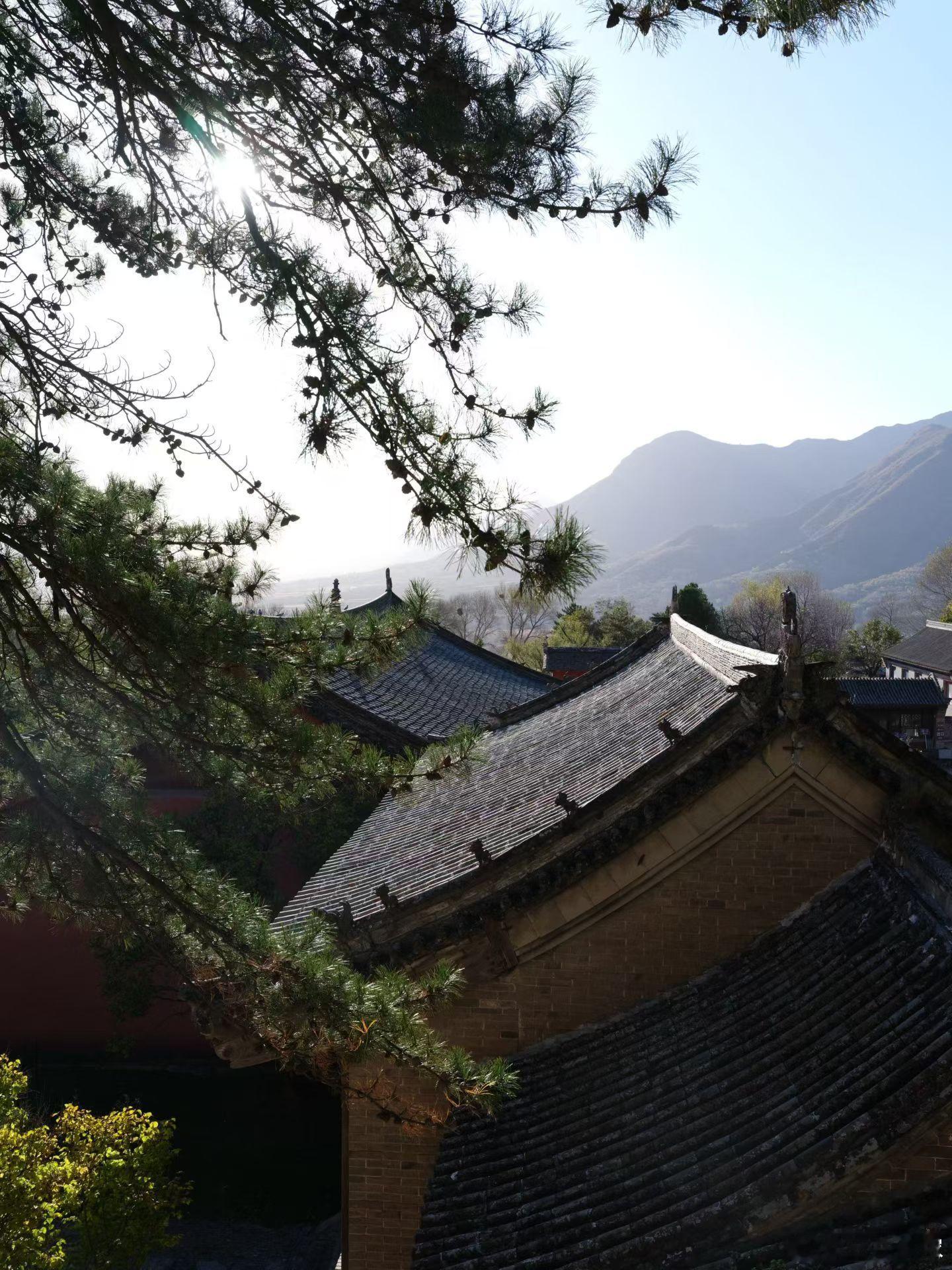 终于见到了梁思成林徽因当年跋山涉水也要找寻的佛光寺，东大殿的唐代木构，唐代壁画，