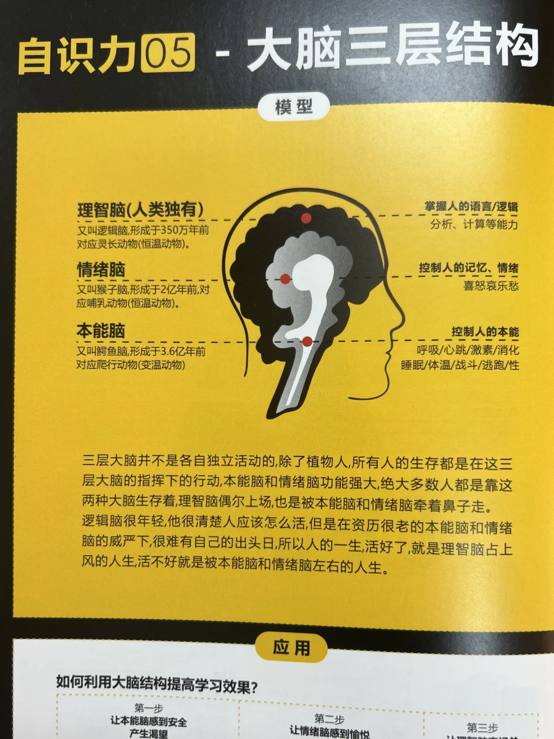 2026年，先升级你的认知系统