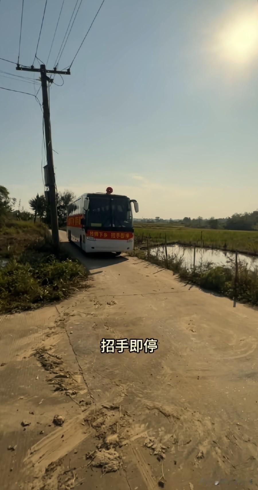 就在不久前浙江省开始了整治夜场商K行动，许多技师公主都失业下岗了。
城里面不让干