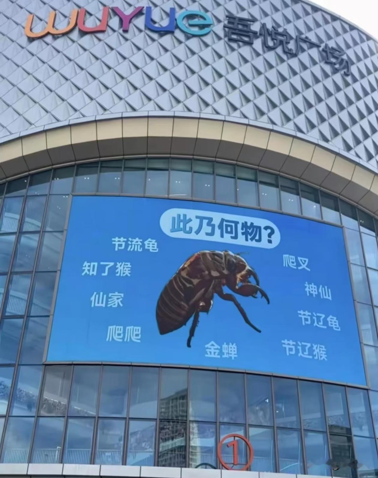 你们那里叫这个叫啥？