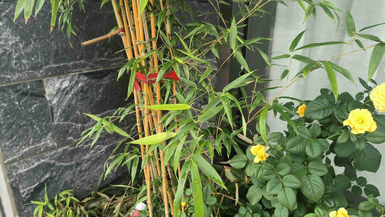 我的今日状态：😁轻松愉快
我这里的天气：☀️晴天

真是意外随时发生呀！看见几