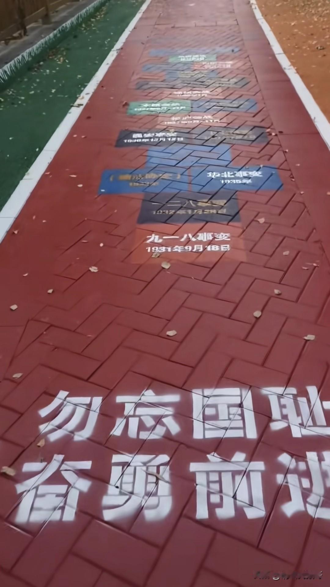 这是哪个小区的小道，太硬核了