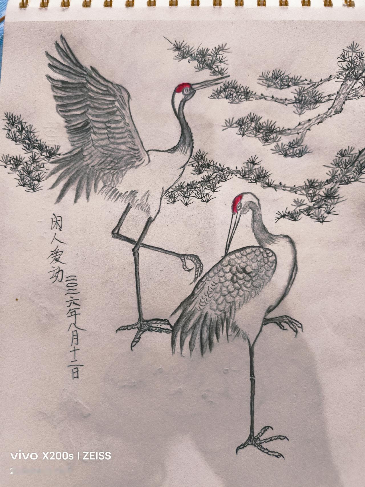 做自己喜欢做的事
         我退休之后只想过不受限制简单自由的快乐生活，