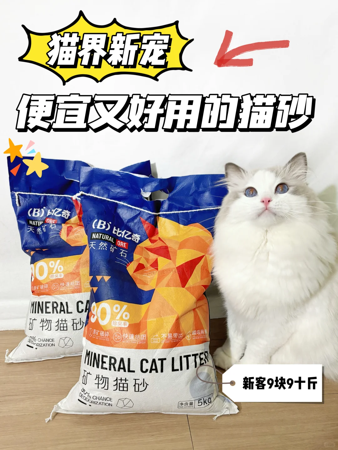 猫界新宠，便宜又好用的猫砂！
