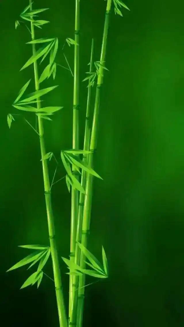 下联：创业者以诚待人。