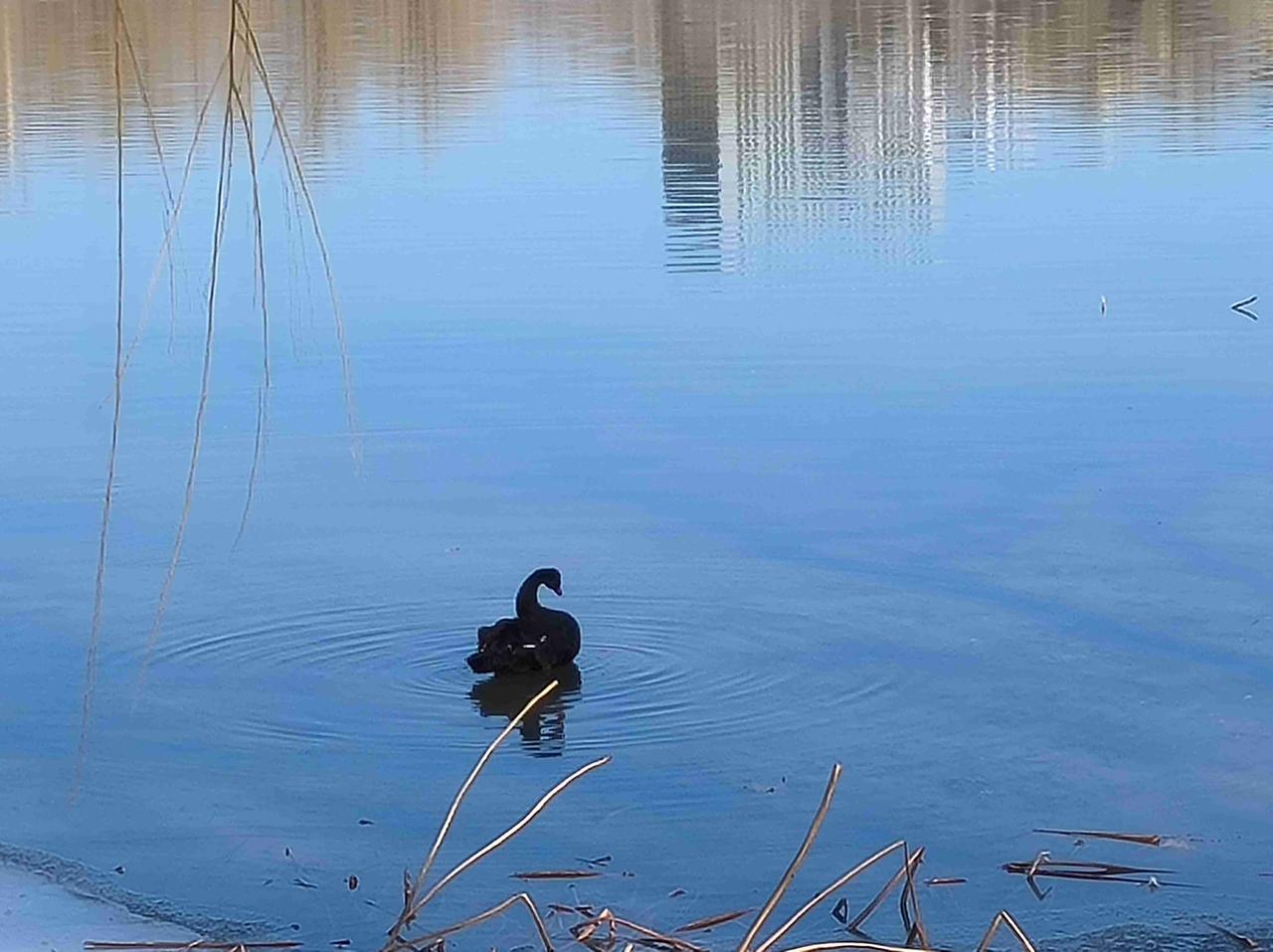 我的今日状态：💪🏻充满干劲
我这里的天气：🍂微风