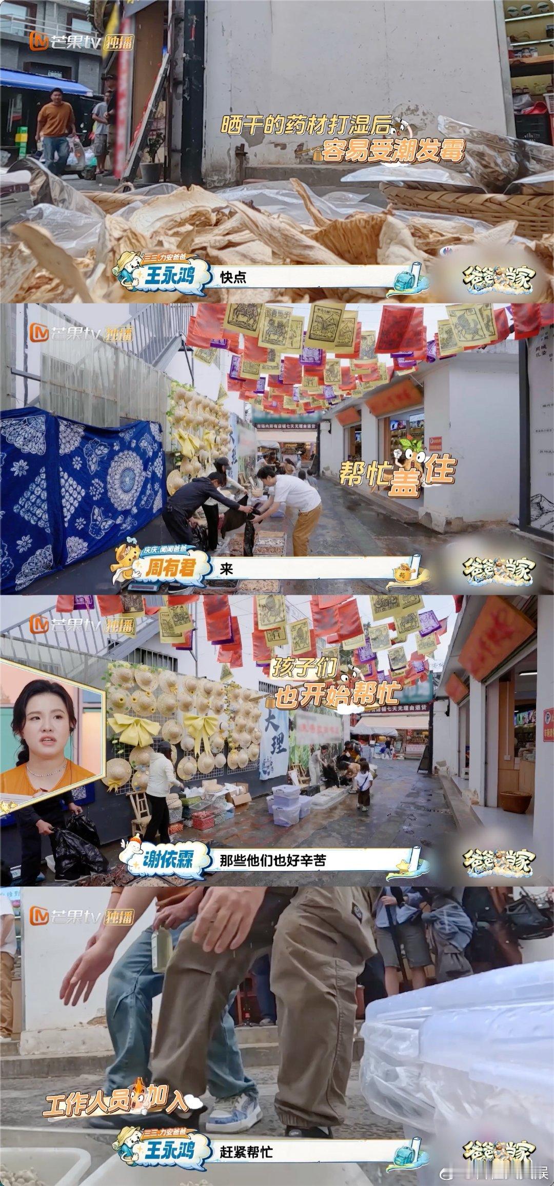 爸爸当家中断录制帮小摊贩挡雨 爸爸当家 谁看完直呼太治愈！突降大雨时没人想着抢镜