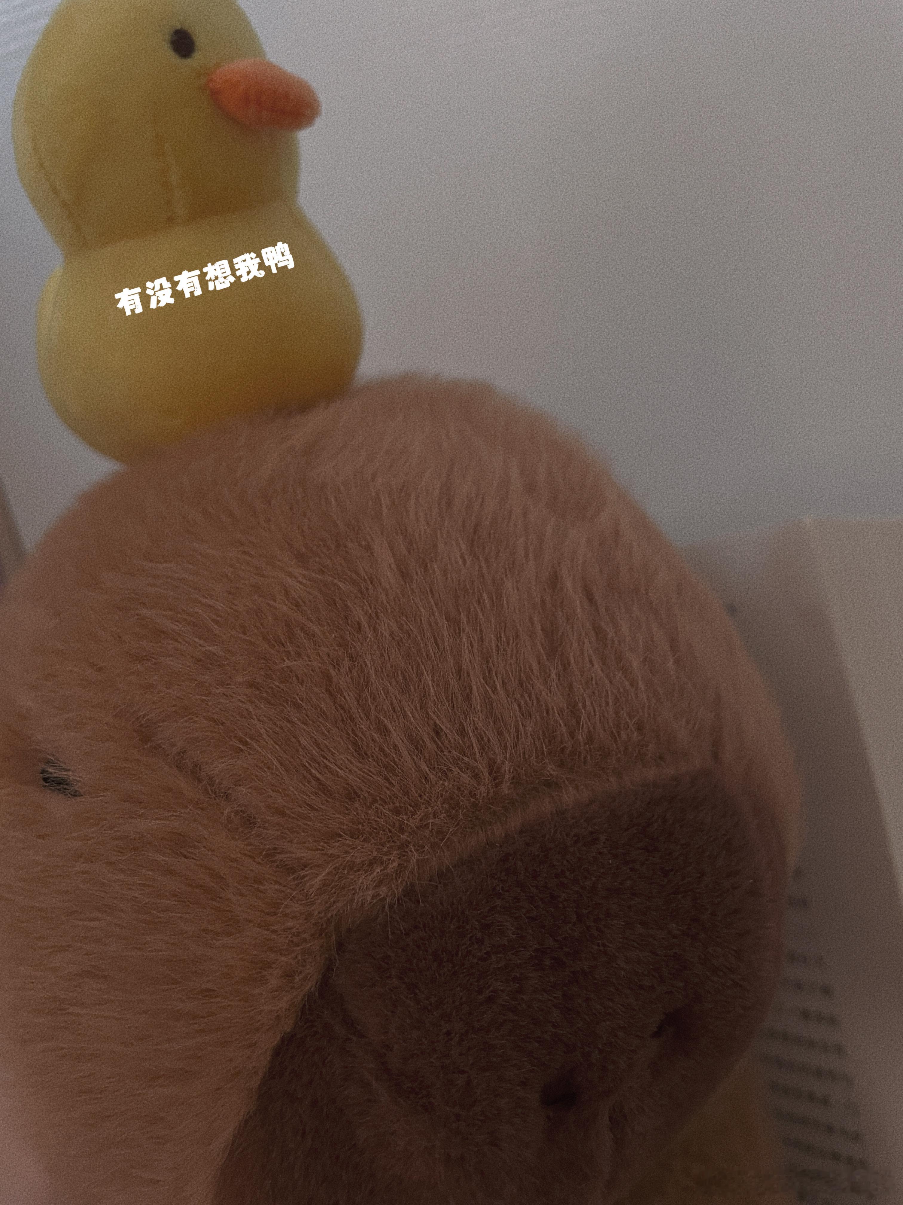 睡眠质量好好，依旧是睡了八个多小时，八点钟起来后上个厕所，喝点温水，和妈妈挂着视