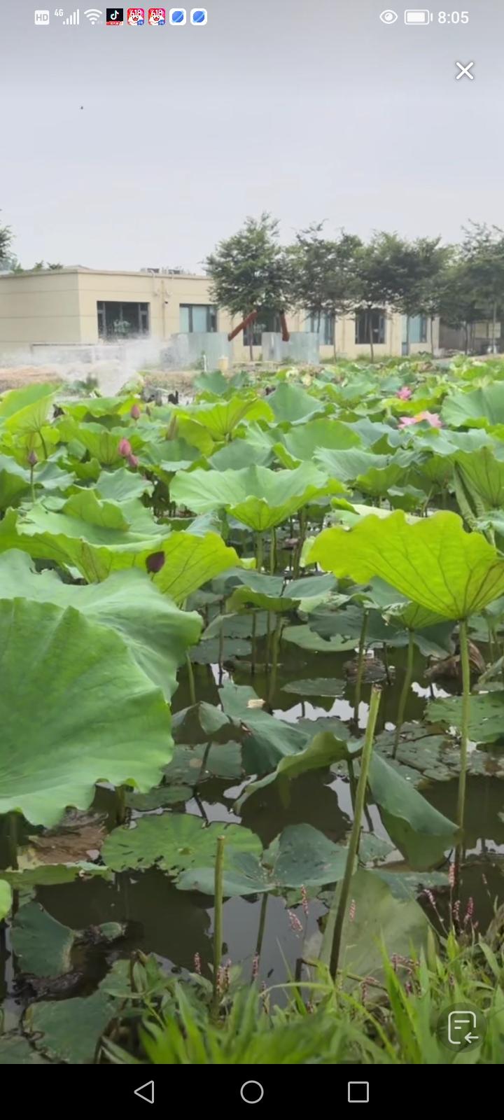 并非如此，关键在于公公婆婆。我妈从不说我前夫的坏话，却也不会给予我们经济上的支持