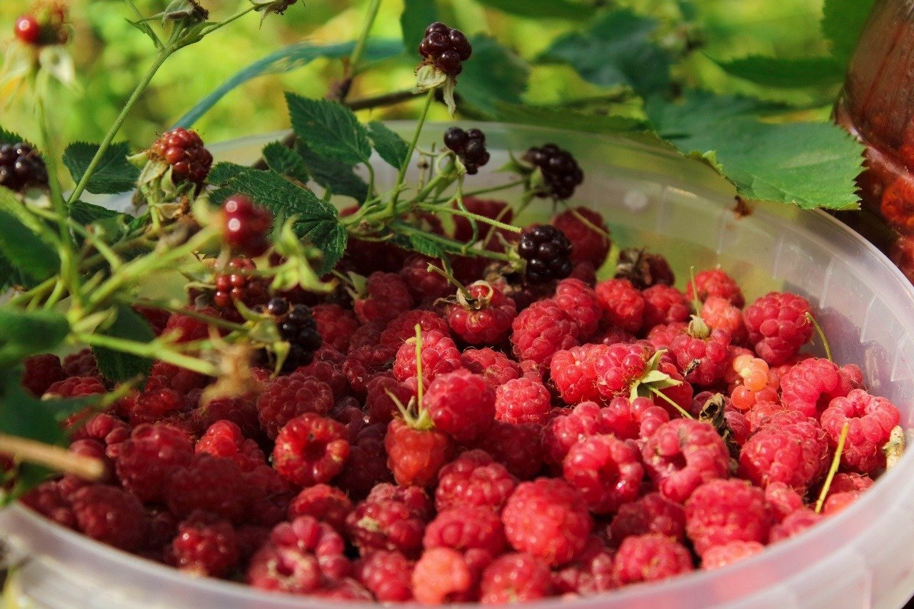 分享图片 ​​​