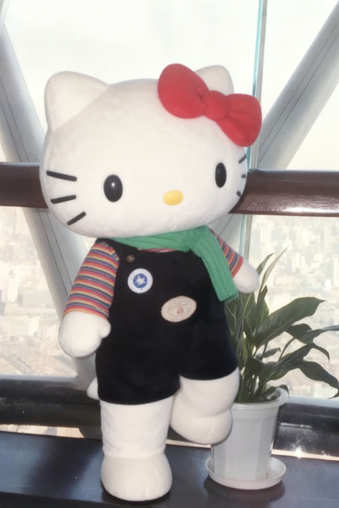 白鹿不明显头像[柯基] ​​​