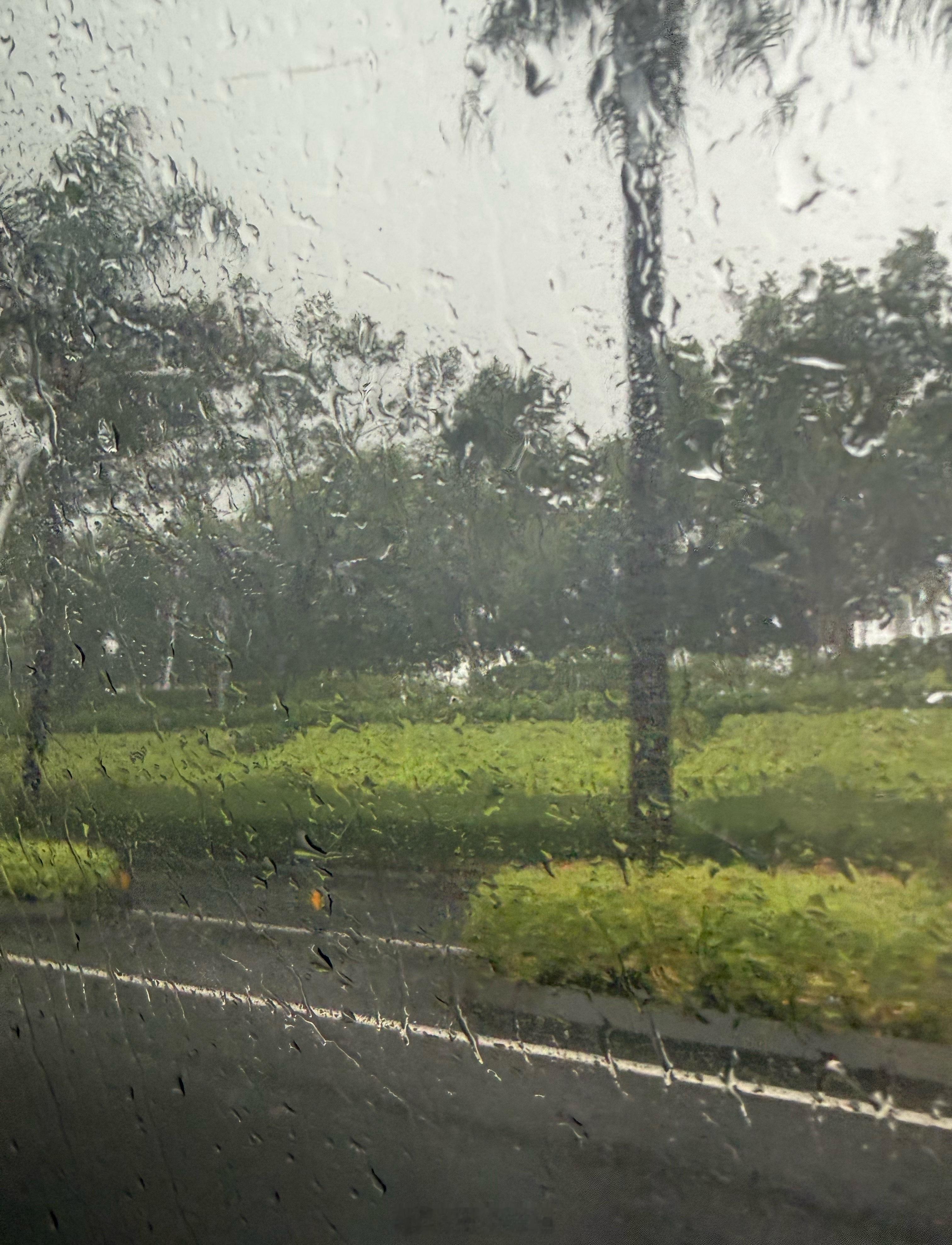 出门就下大暴雨[流汗]立马回家还是被淋湿了[泪奔] ​​​