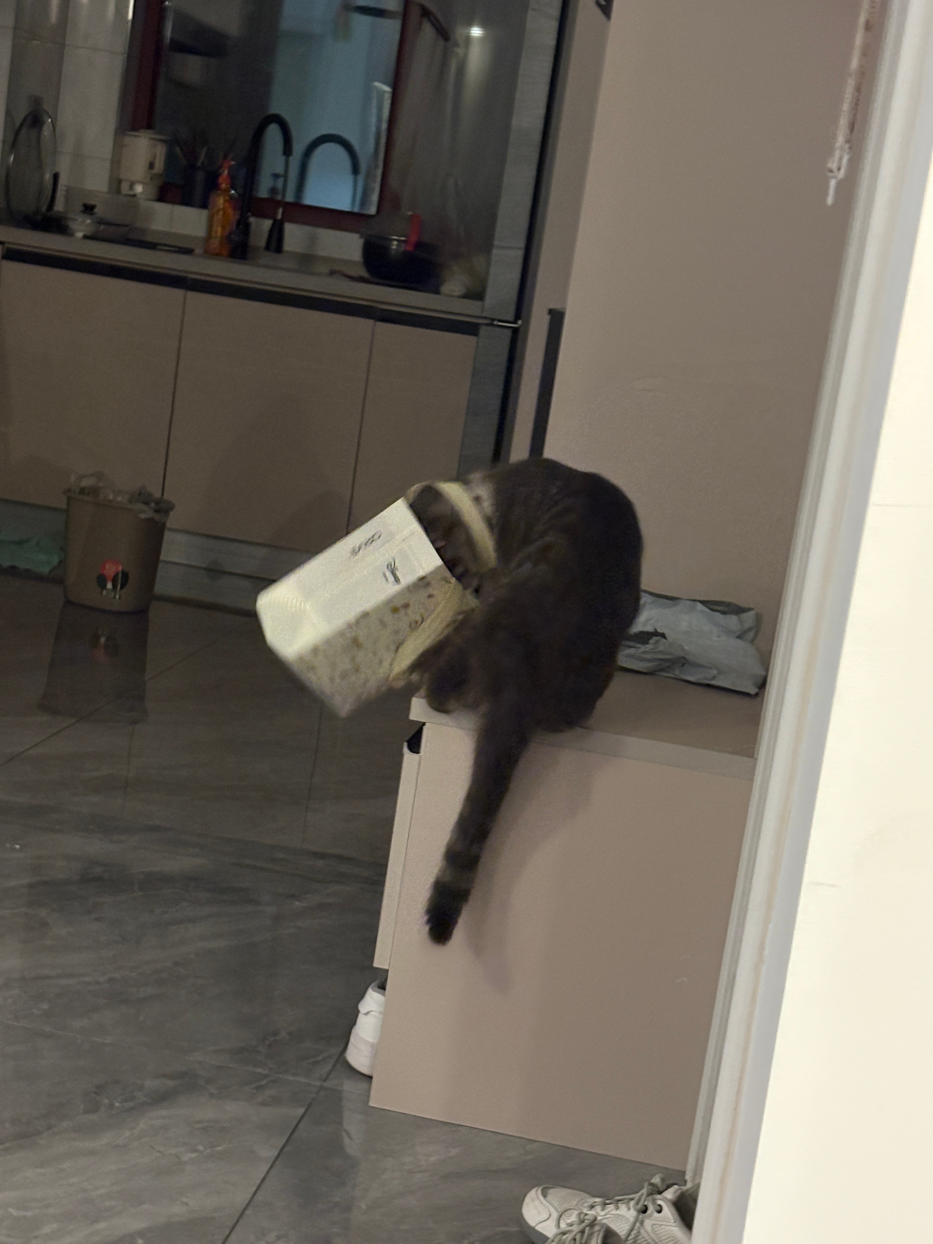咪咪喵喵 
