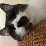 书迷侃游戏