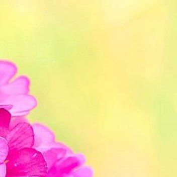 正能量俗话说，人闲是非多，百忙解千愁，的确如此，这里的“闲”，指的是思维的停滞、