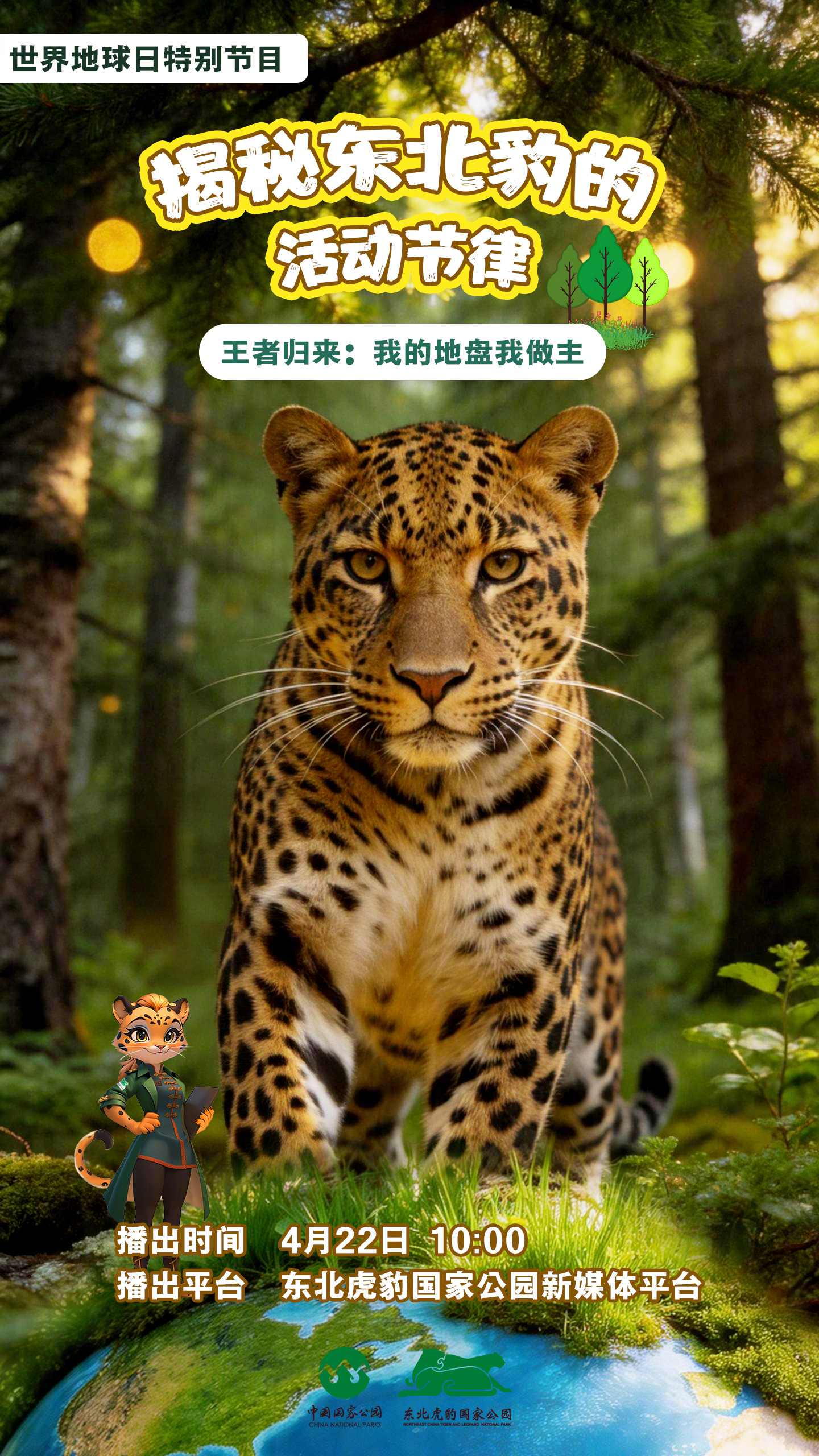 【📷播出预告：揭秘东北豹的活动节律】它是东北山林里来去如风的“顶级猎手”，更是