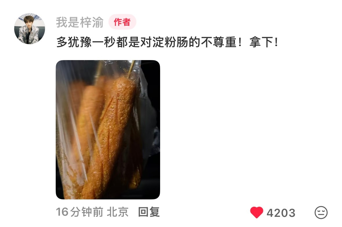 啊啊啊啊啊啊啊啊啊啊我也出门必吃淀粉肠！！！ 