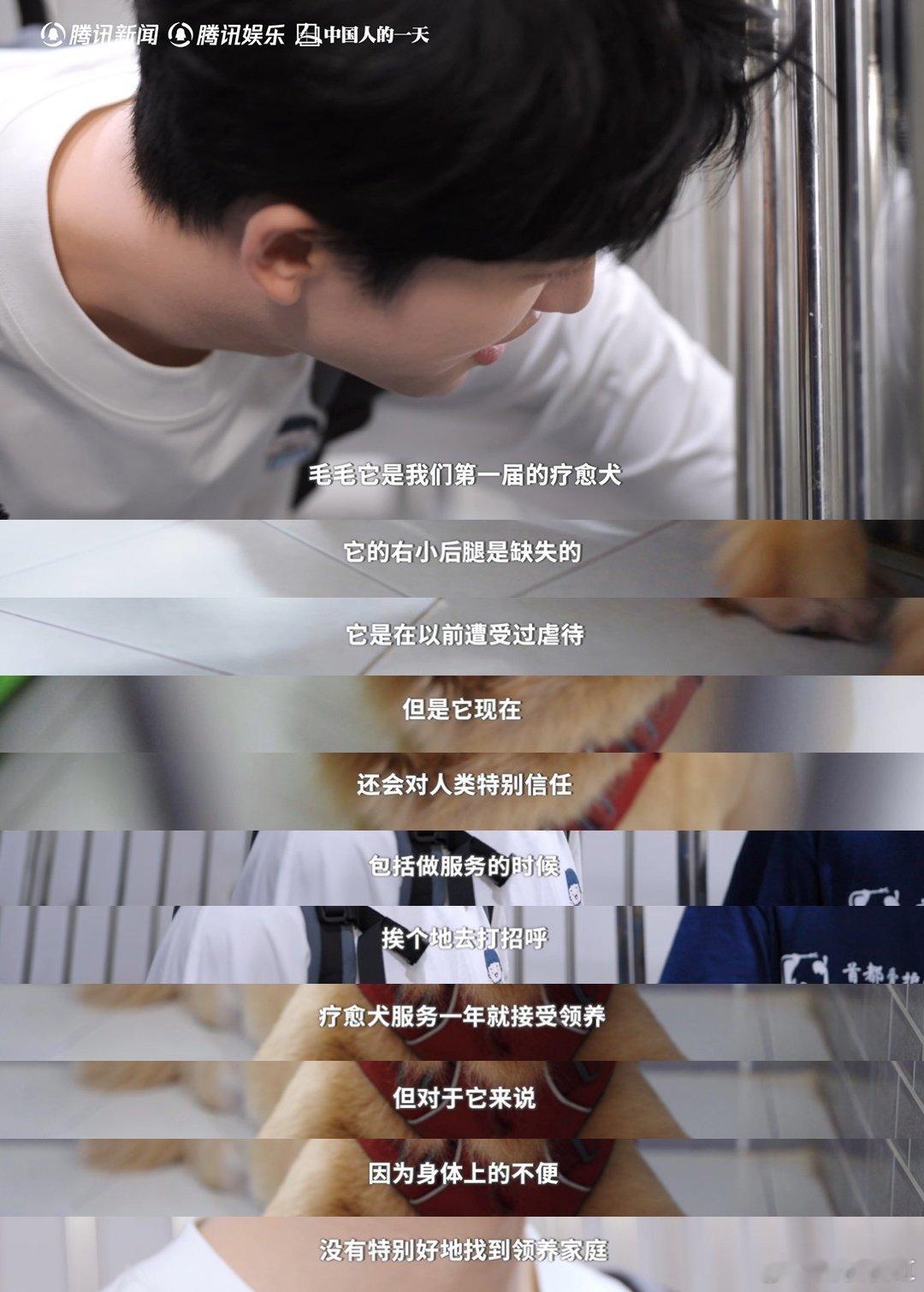黄子弘凡探望截肢疗愈犬眼眶湿润 黄子弘凡吉他弹唱陪伴孤独症孩子 黄子弘凡被截肢疗