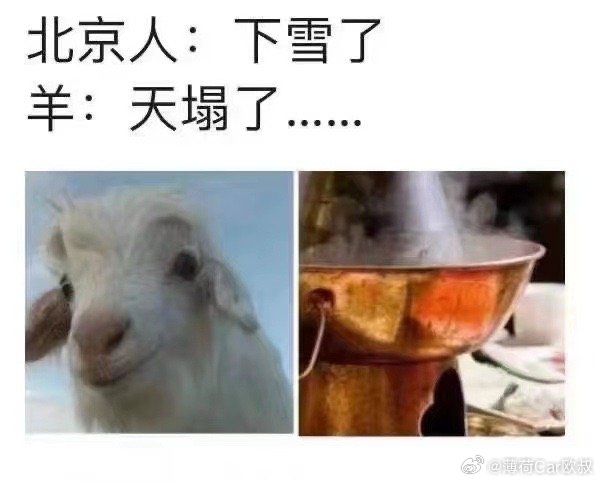 哈哈哈哈哈 笑疯了….#大v聊车# ​​​