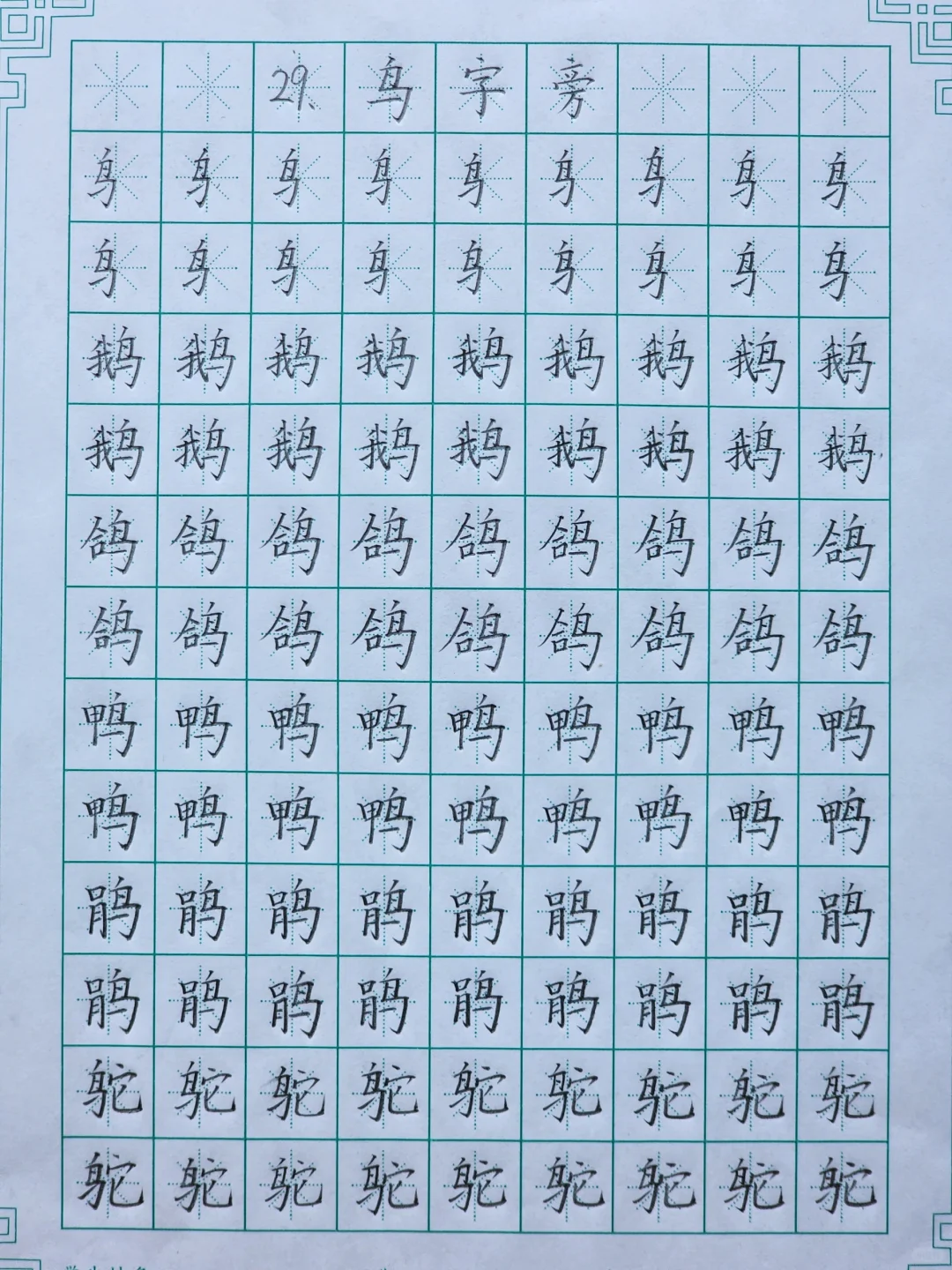 第二十九课：鸟字旁