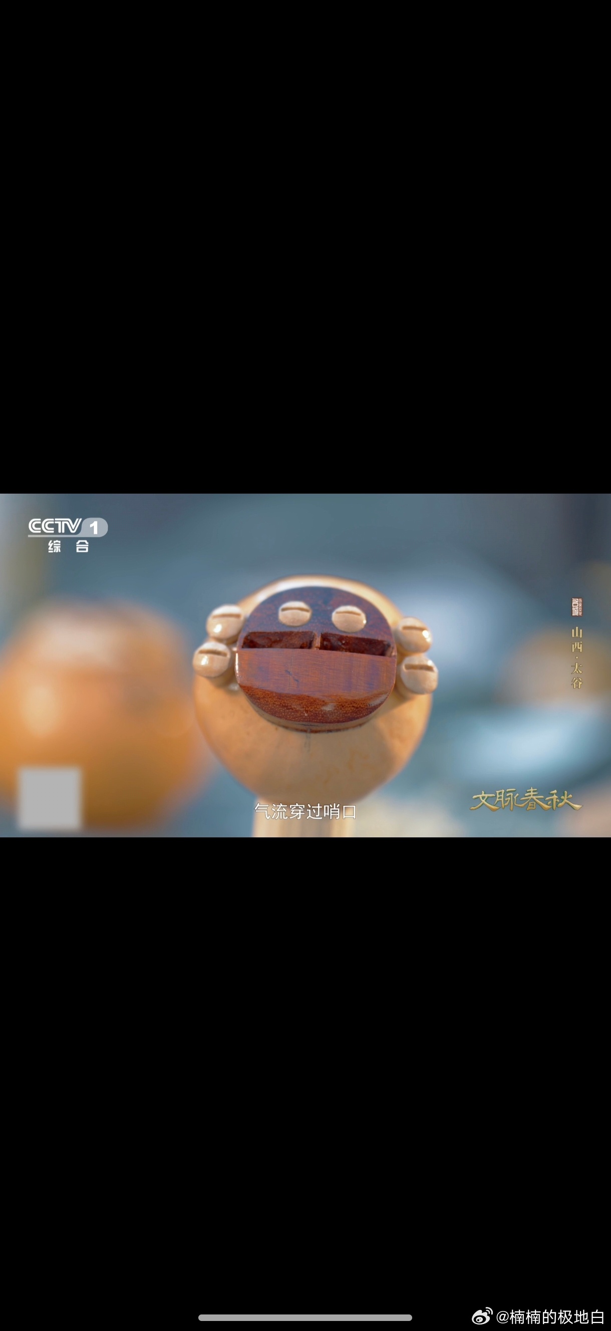 鸽子的尾巴居然能化作乐器山西这里的鸽子竟会唱戏曲 山西太谷的鸽子会唱戏曲，秘诀就