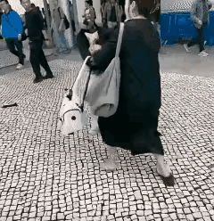 又是一个让人难过的场面，打人的女人义愤填膺，满腔怒火，被打的人毫无还手之力，很快