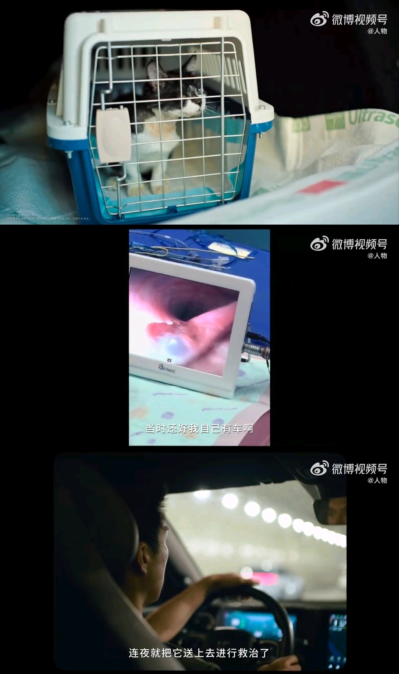 动物也需要救护车第一次听说动物救护车 谁懂这份治愈！广东宠物医生杨航免费转运病危