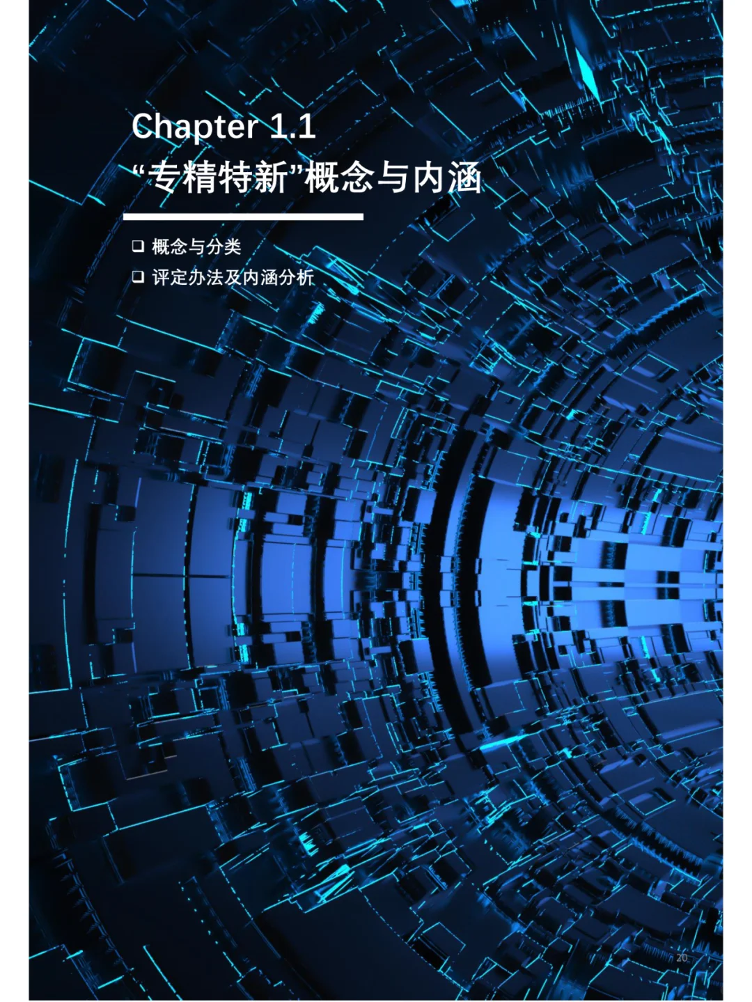 2024年中国专精特新企业发展系列白皮书