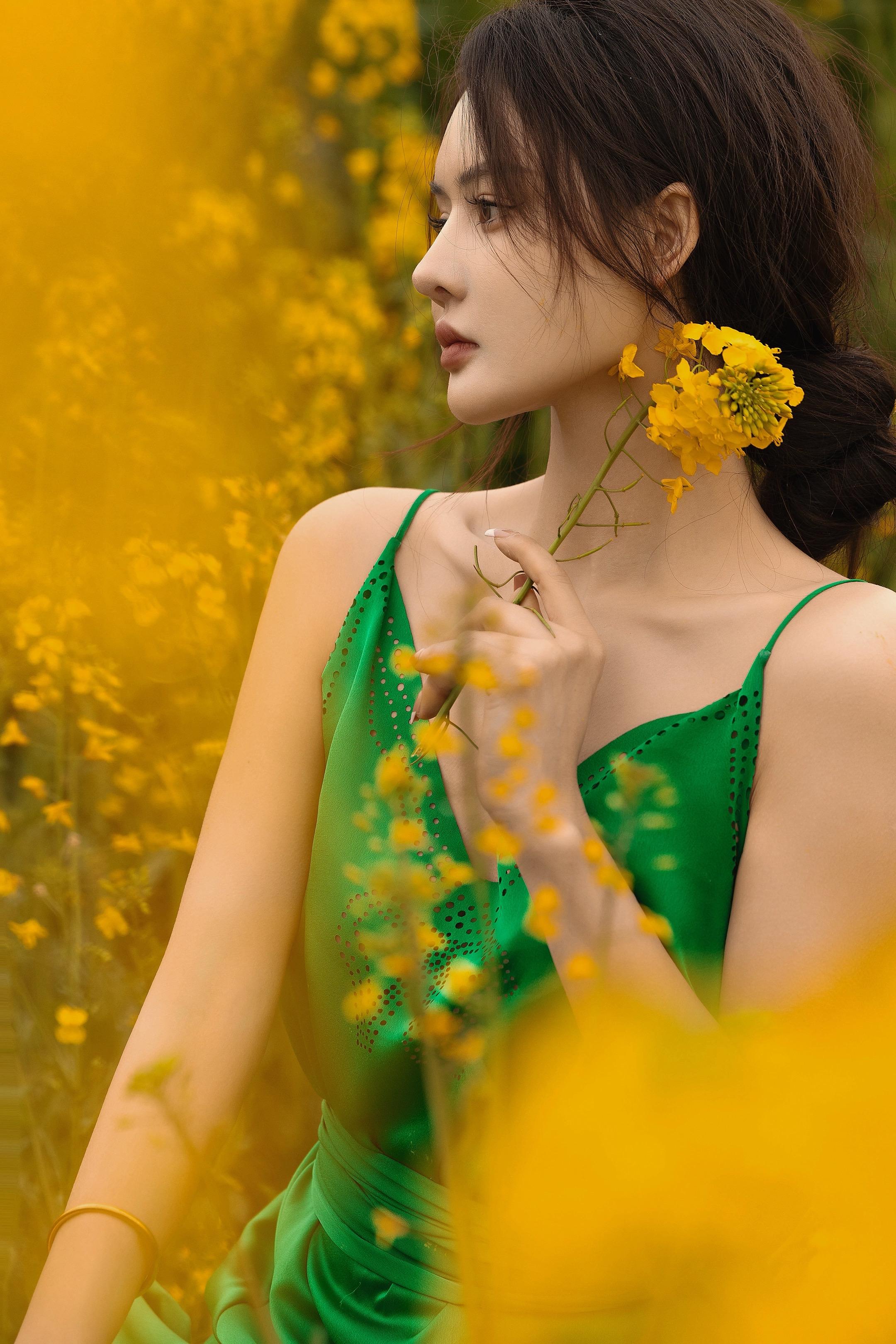 恰逢春日，一亩金黄，一面春光。