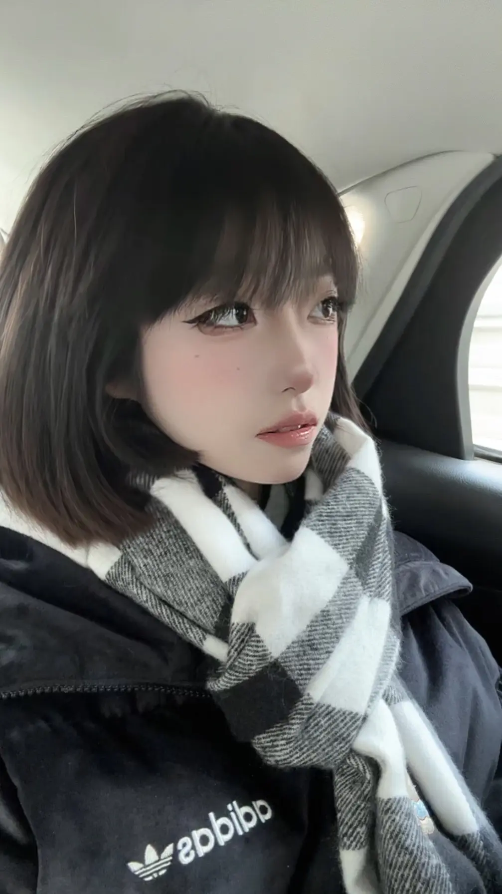 像树一样活着，发呆是我与世界产生的联结。