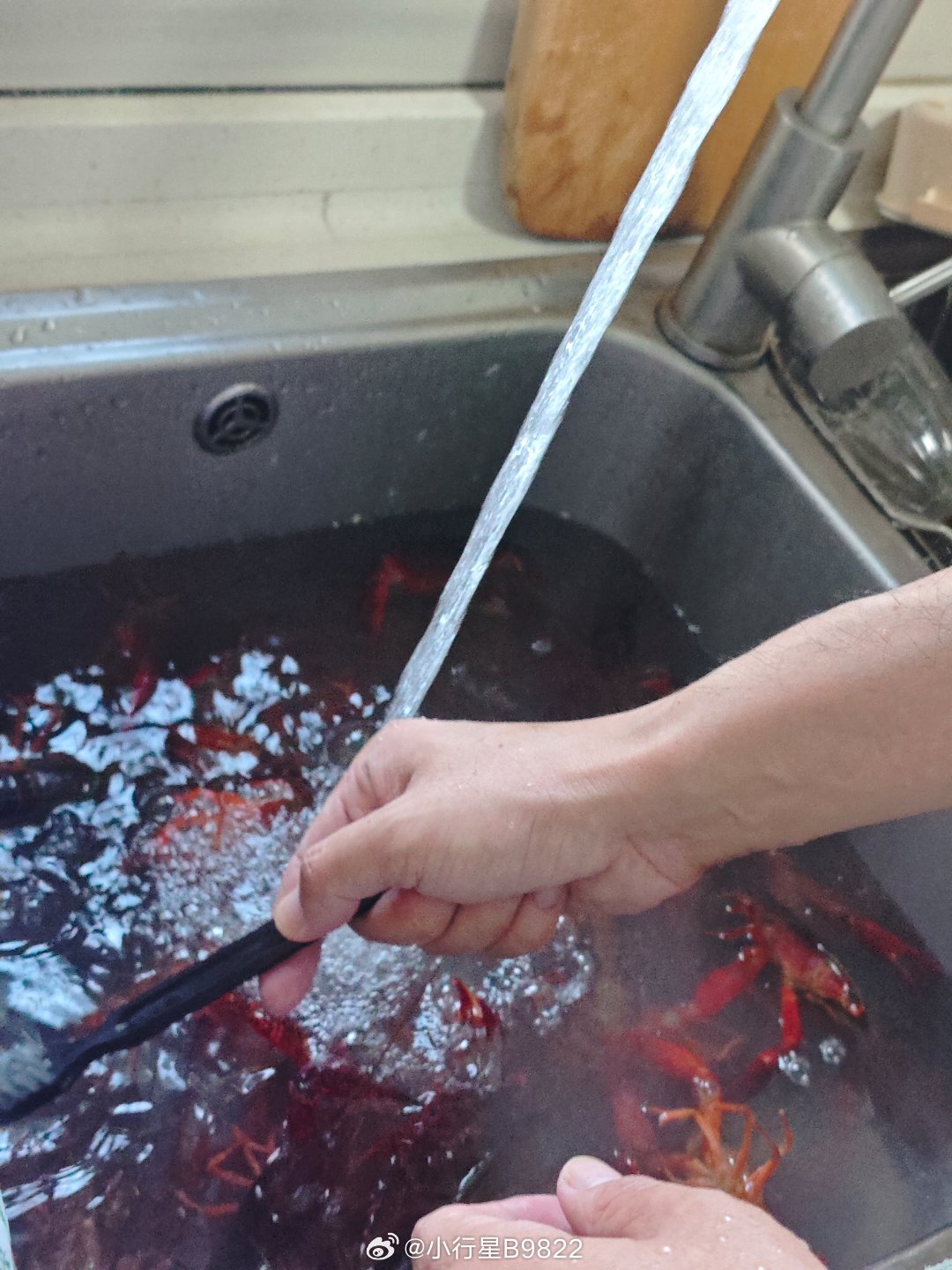 海哥的小厨房 海哥还真有两把刷子的做小龙虾比上次更美味了而且清洗特别认真第一遍让
