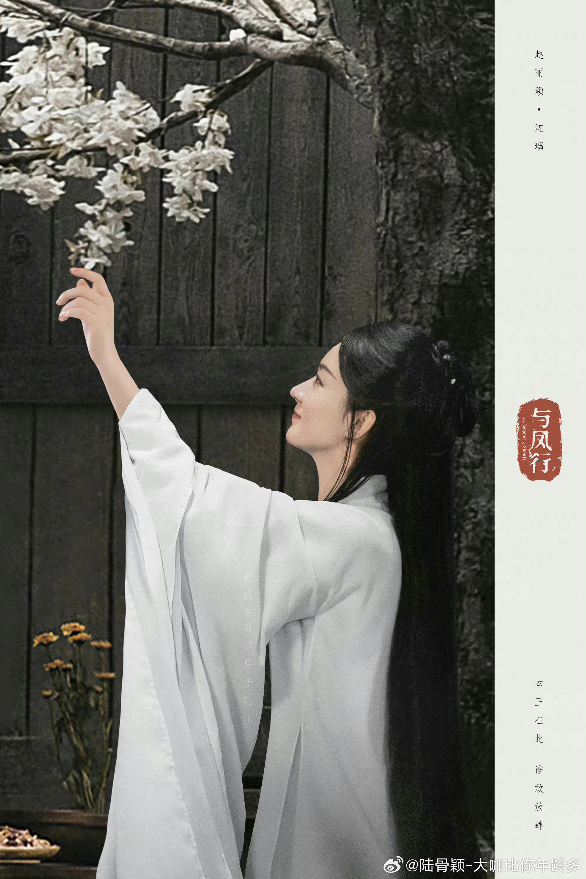 赵丽颖与凤行 zly赵丽颖正能量无情天道，薄凉不仁，去你的天道恒长！赵丽颖把沈璃
